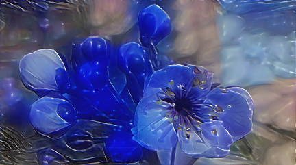 blaueBlumen1